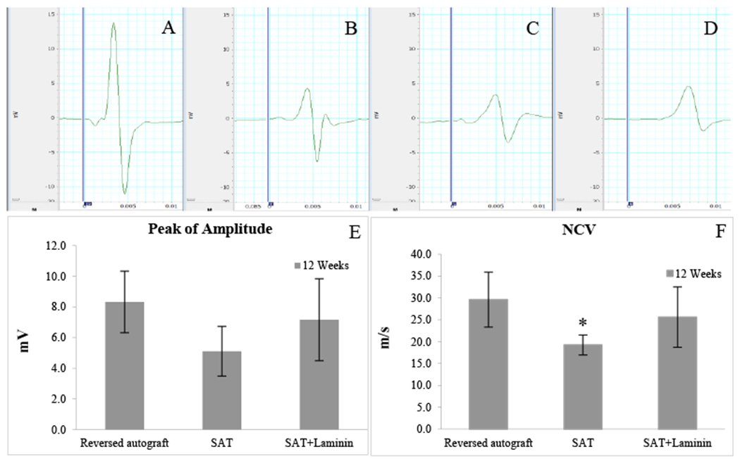 Figure 6 -