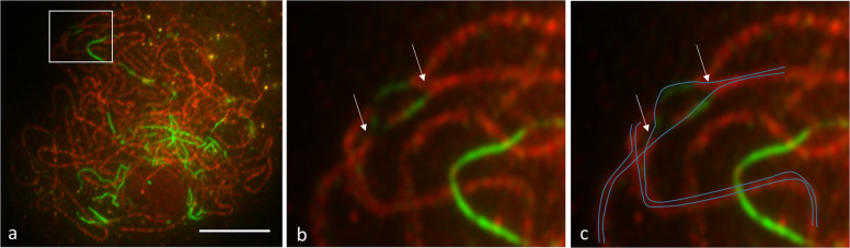 Fig. 7