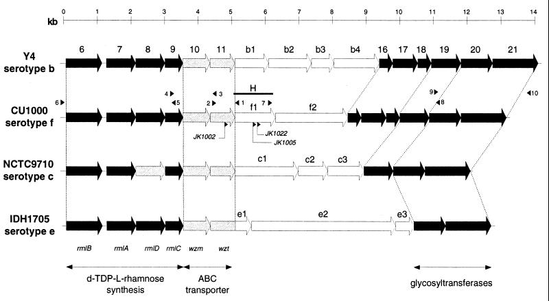 FIG. 6