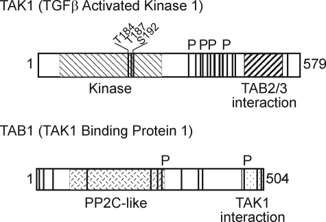 FIGURE 2.