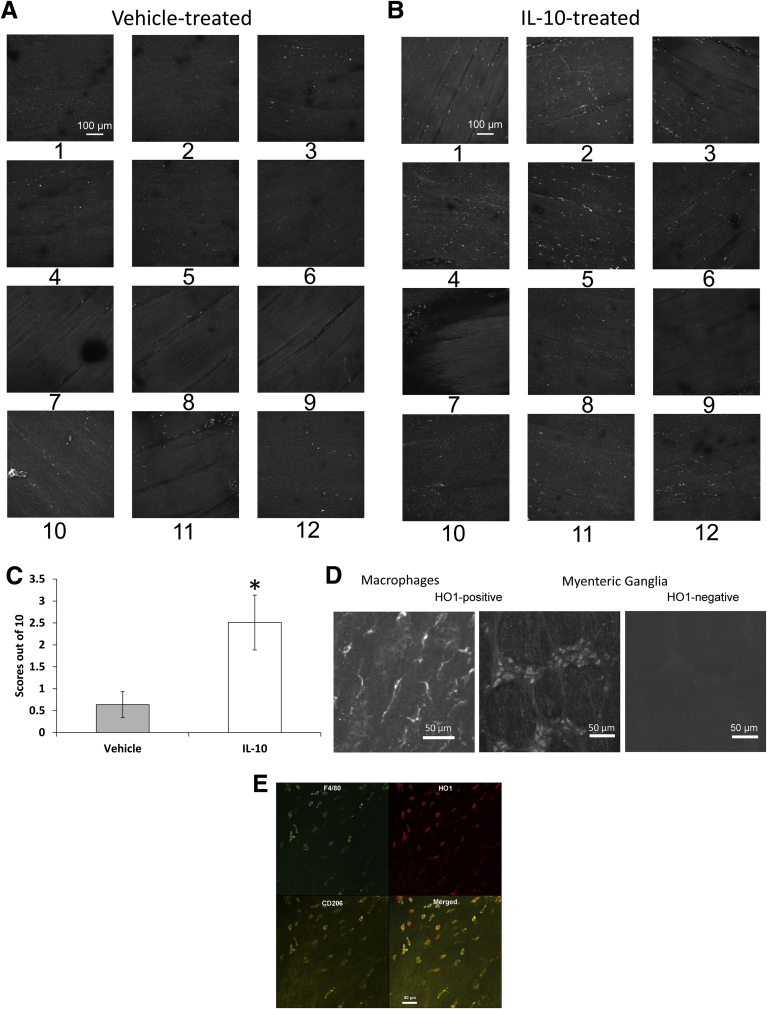 Figure 5