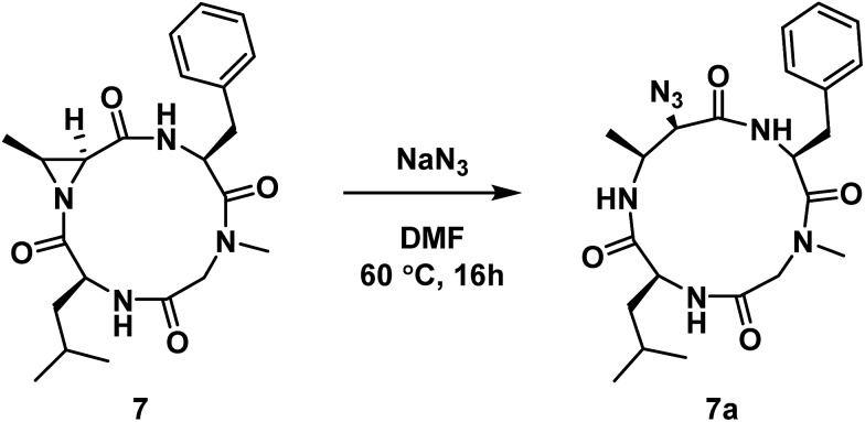 Scheme 2