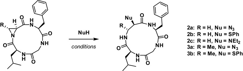 Scheme 1