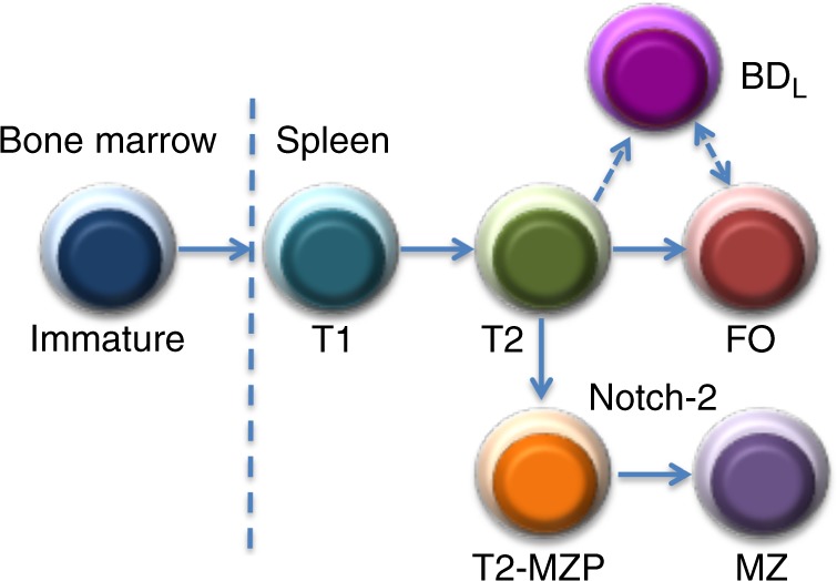 Fig. 10