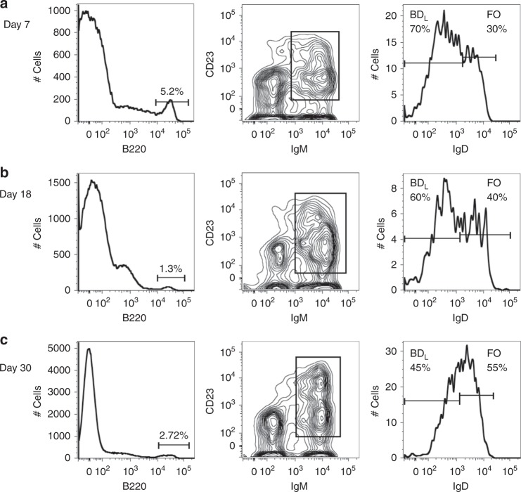 Fig. 8