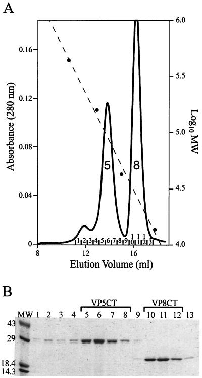 FIG. 4