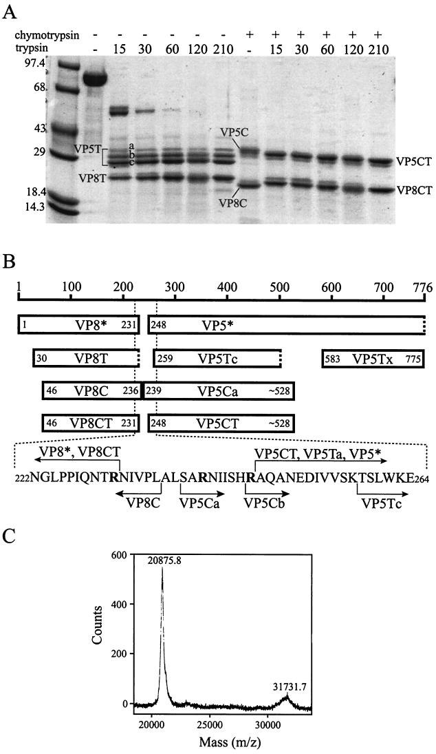 FIG. 3