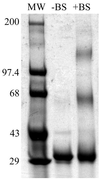 FIG. 6