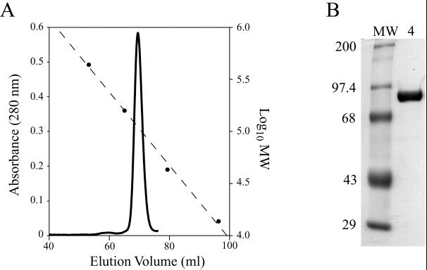 FIG. 1