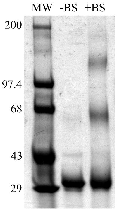 FIG. 6