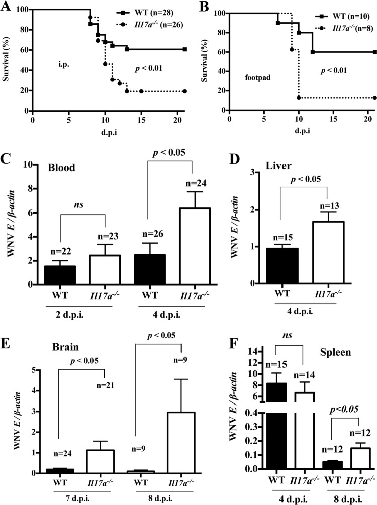 FIG 2