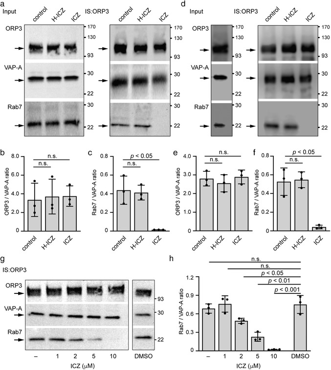 FIGURE 3