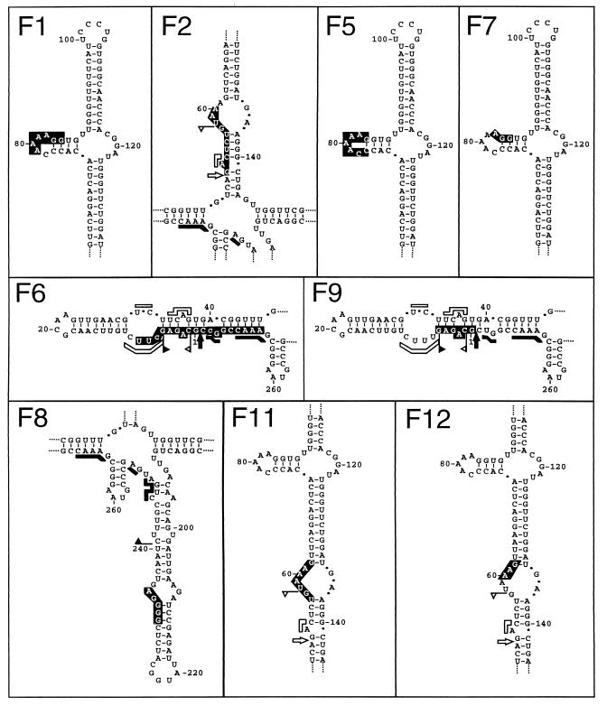 FIG. 5