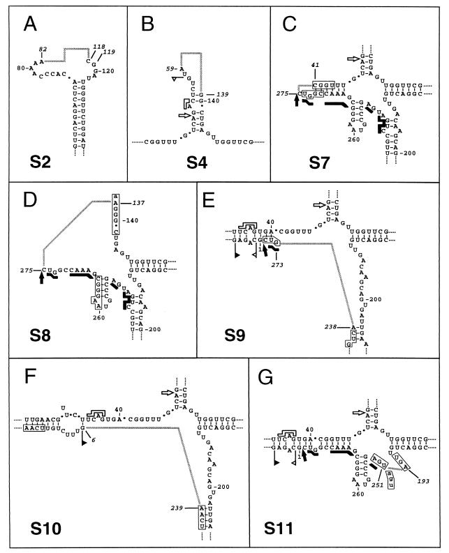 FIG. 8