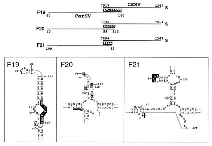 FIG. 9