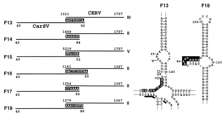 FIG. 6