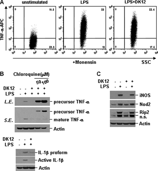 FIGURE 7.