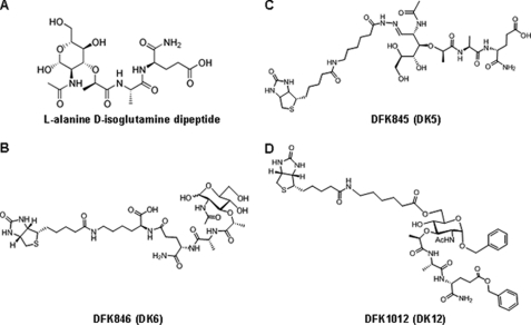 FIGURE 1.