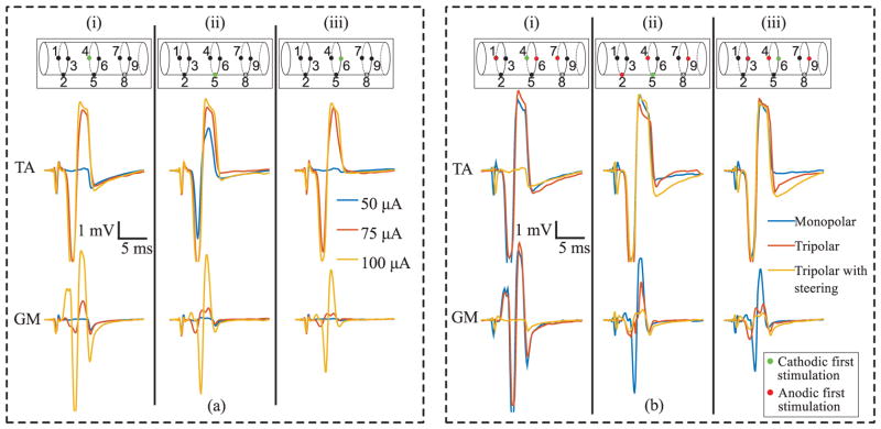 Fig. 14