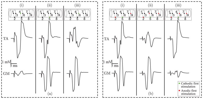 Fig. 15