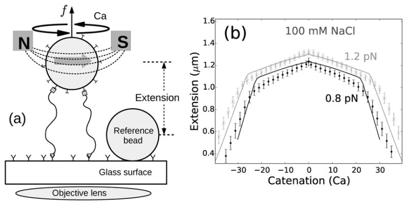 FIG. 1