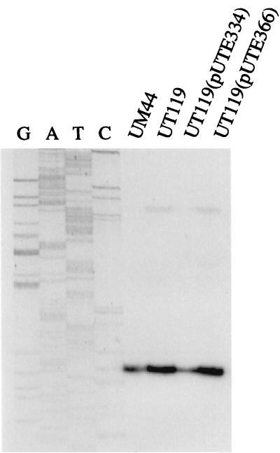 FIG. 5