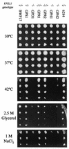 FIG. 3.