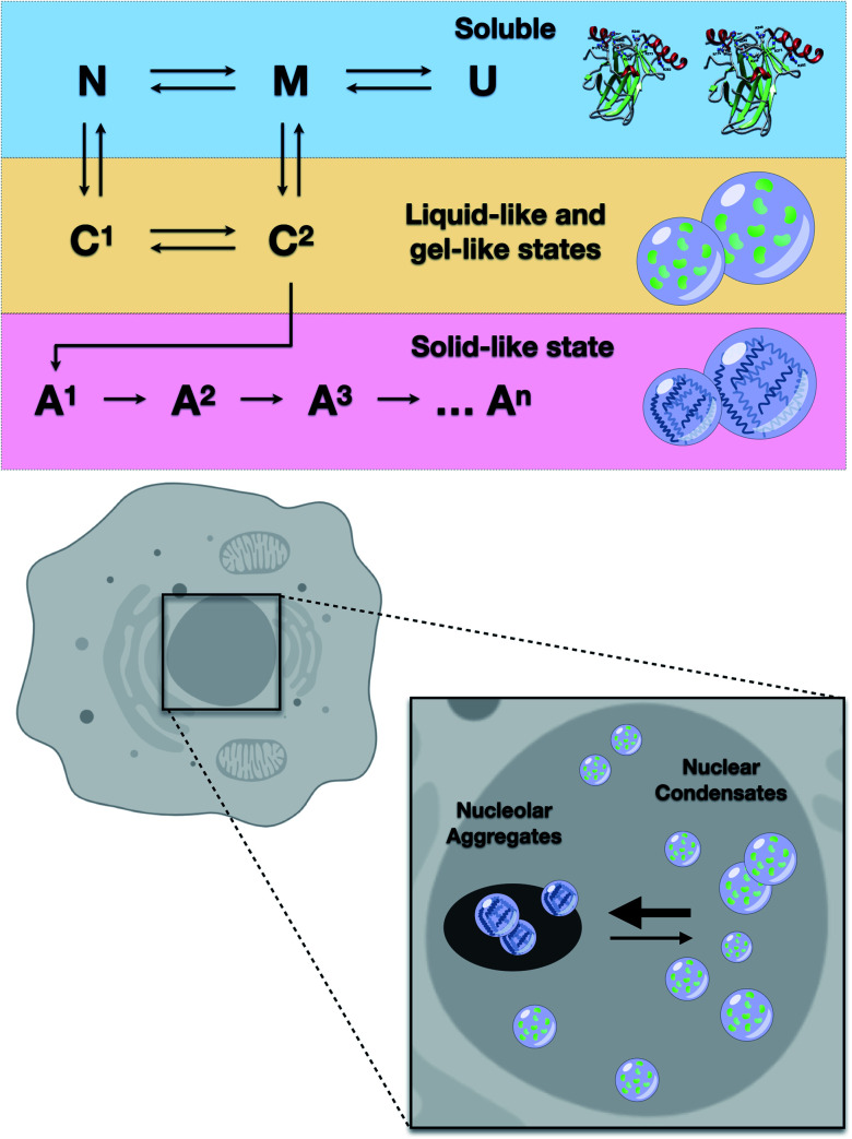 Fig. 10