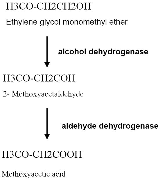 Fig.1