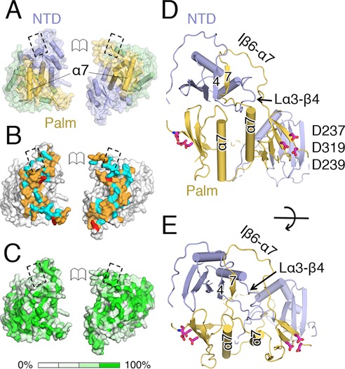 Figure 2.