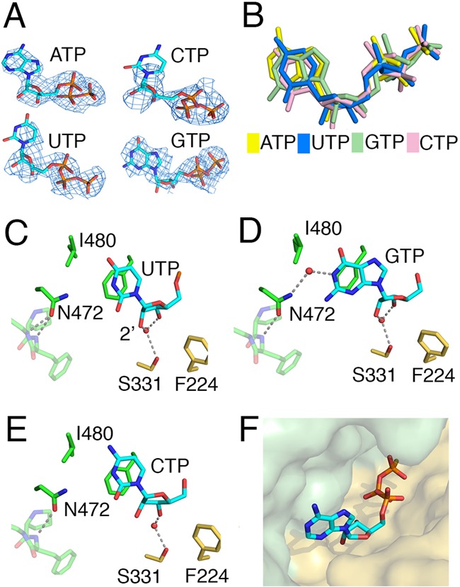 Figure 4.