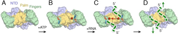 Figure 7.