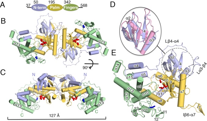 Figure 1.