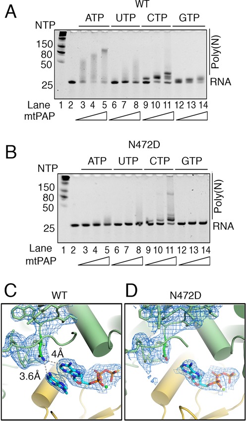 Figure 5.