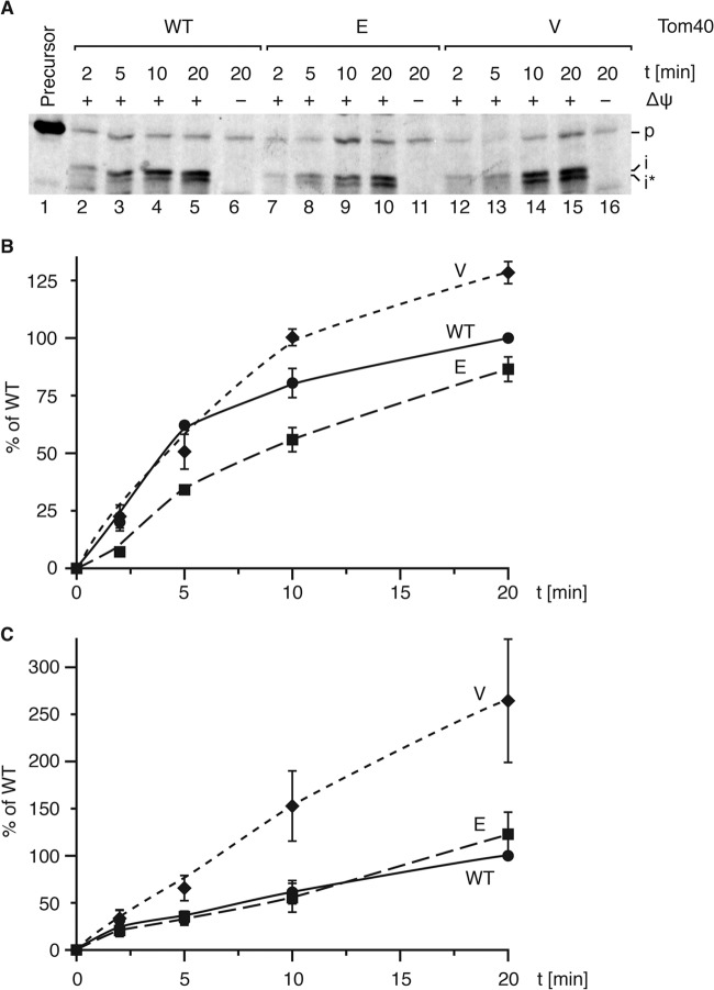 FIG 7