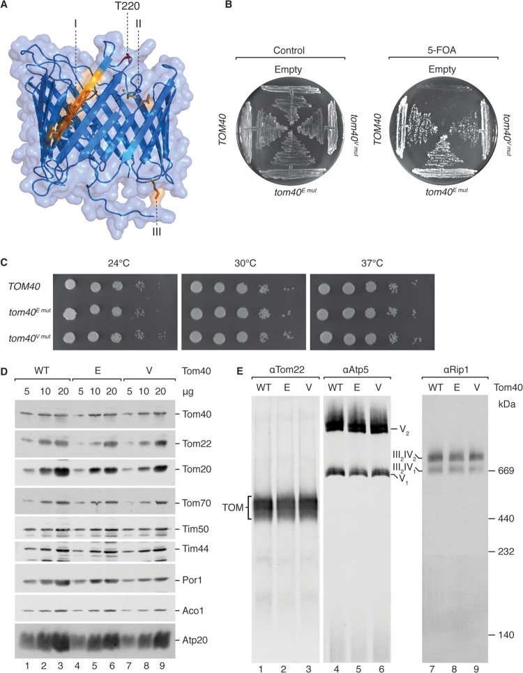 FIG 4