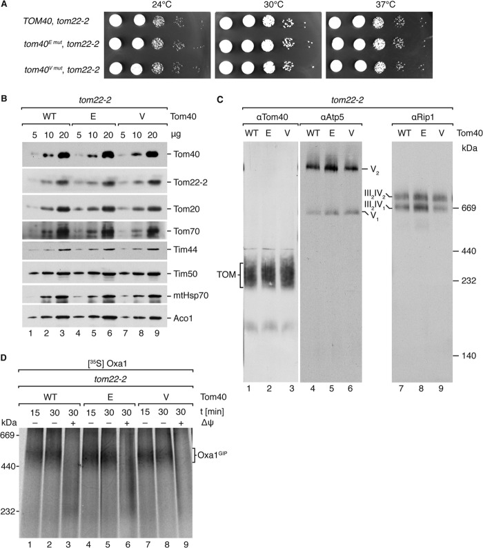 FIG 6