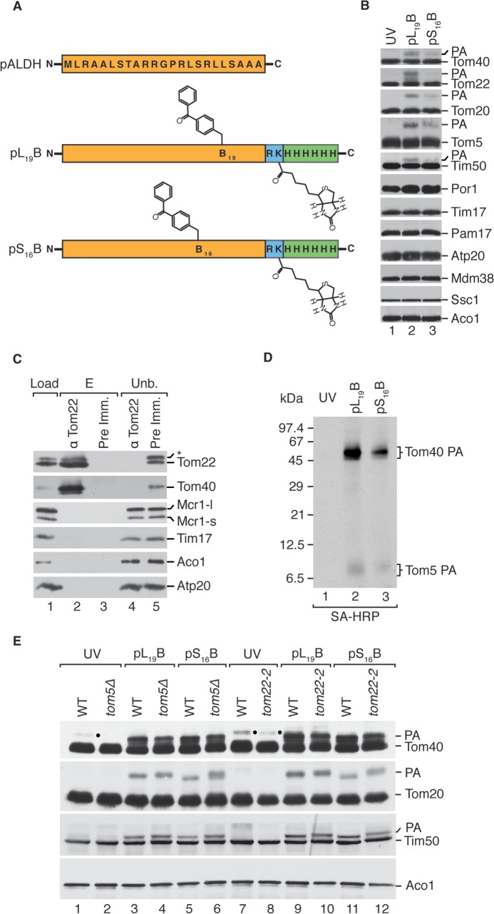 FIG 1