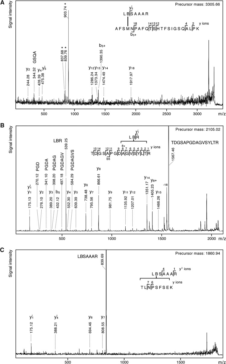 FIG 3