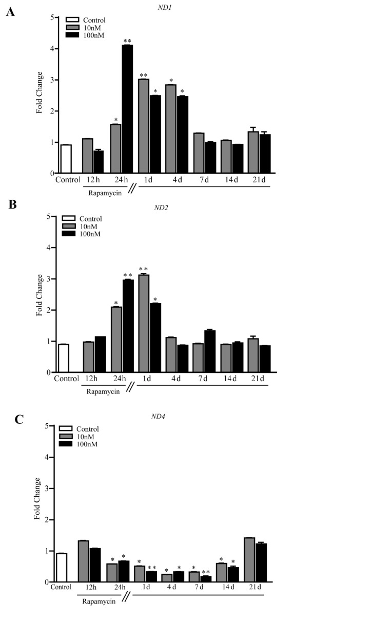 Figure 11