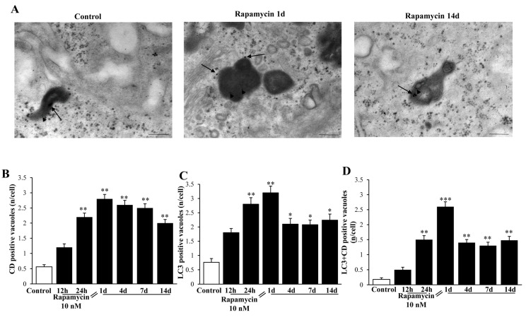 Figure 19