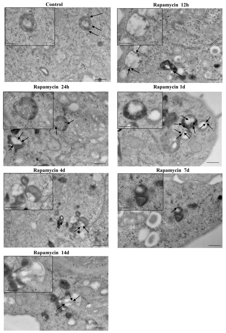 Figure 16