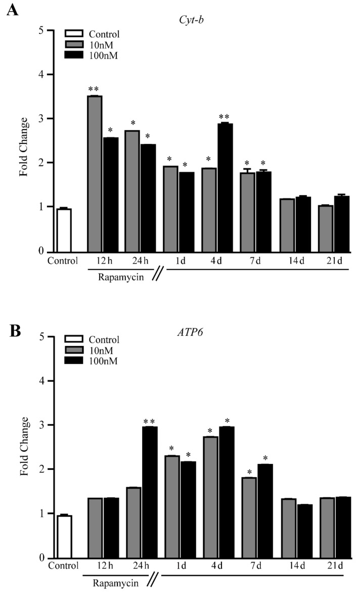 Figure 10