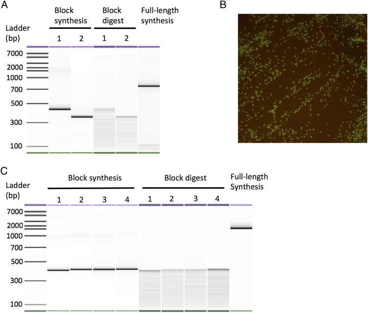 Fig. 3.