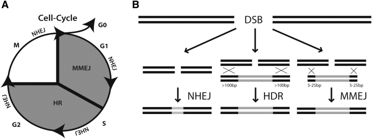 Figure 1