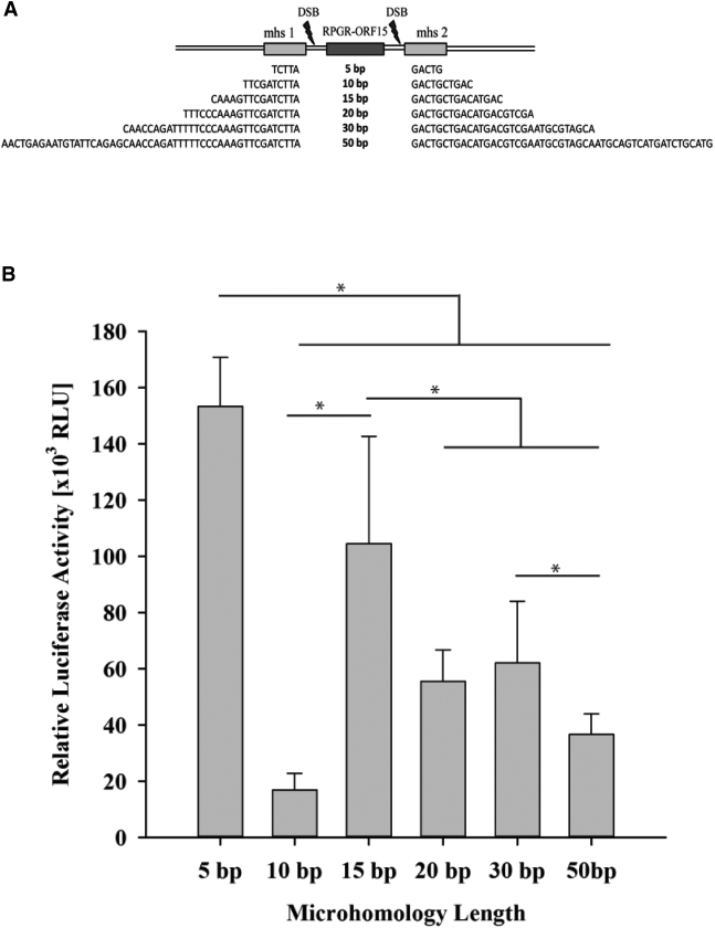 Figure 6