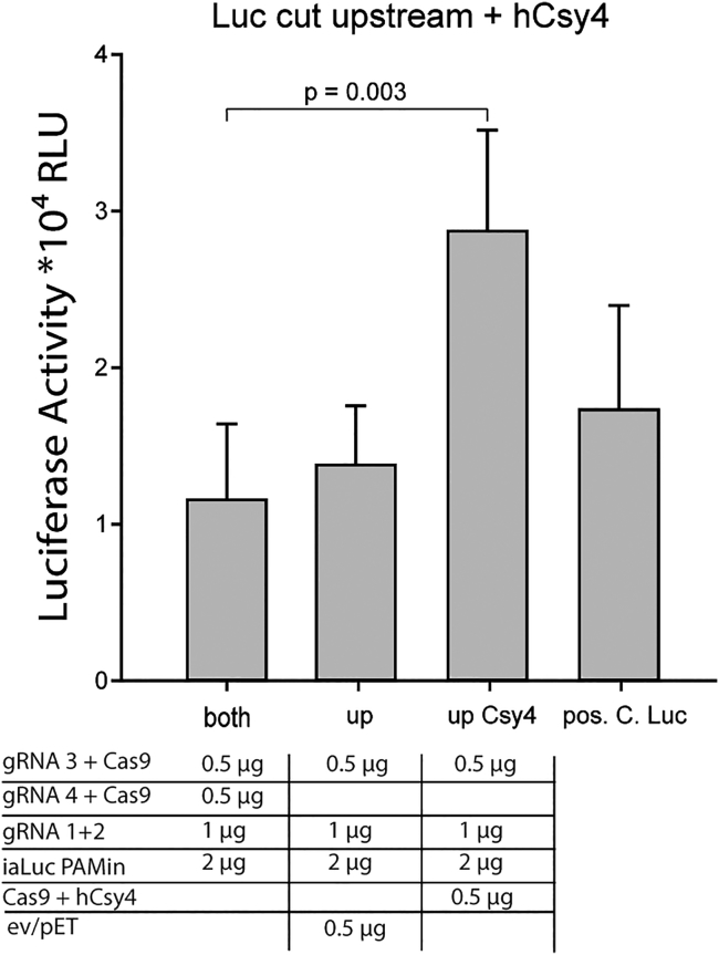 Figure 5