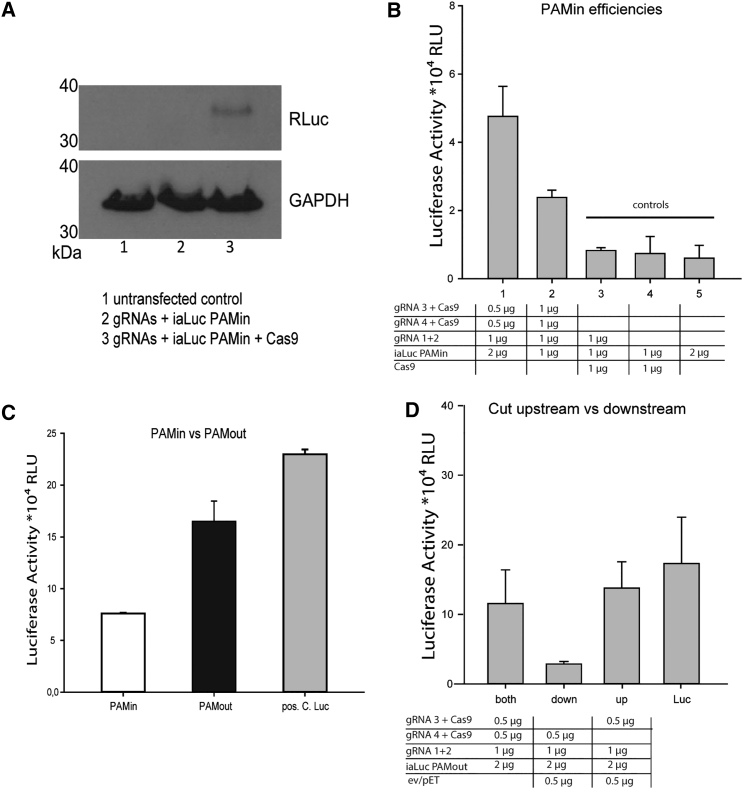 Figure 4