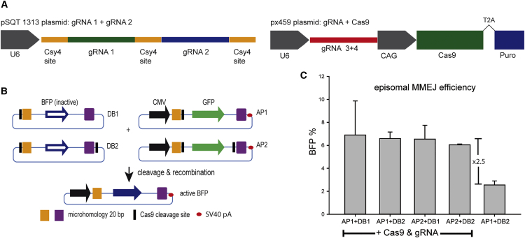 Figure 2