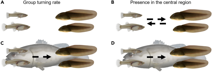 Figure 3